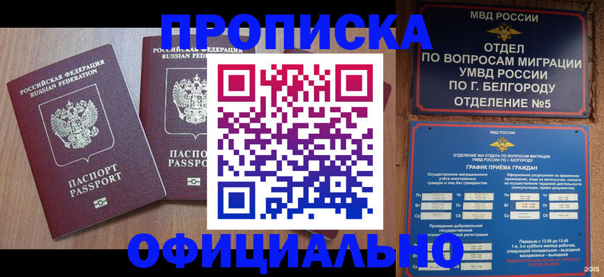 найти адрес прописки в Дорогобуже